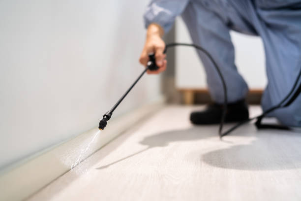 Licensed Cockroach Control service in Anna, TX - Nex Pest Control