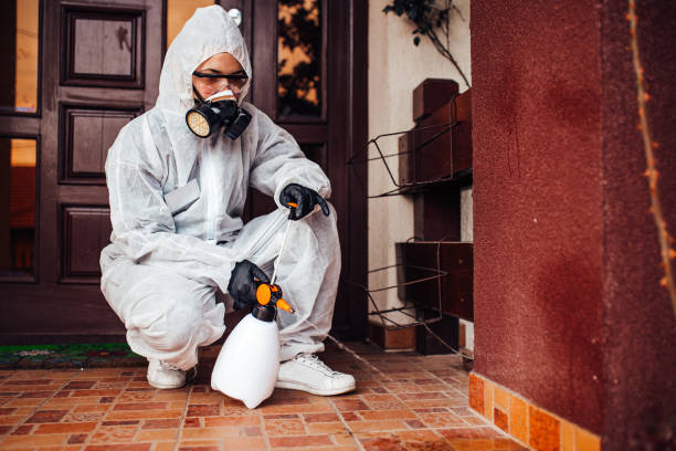 Reliable Cockroach Control contractor in Anna, TX by Nex Pest Control